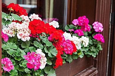 《暗黑破坏神2：重制版》圣骑士预告 神圣战士扫荡恶魔